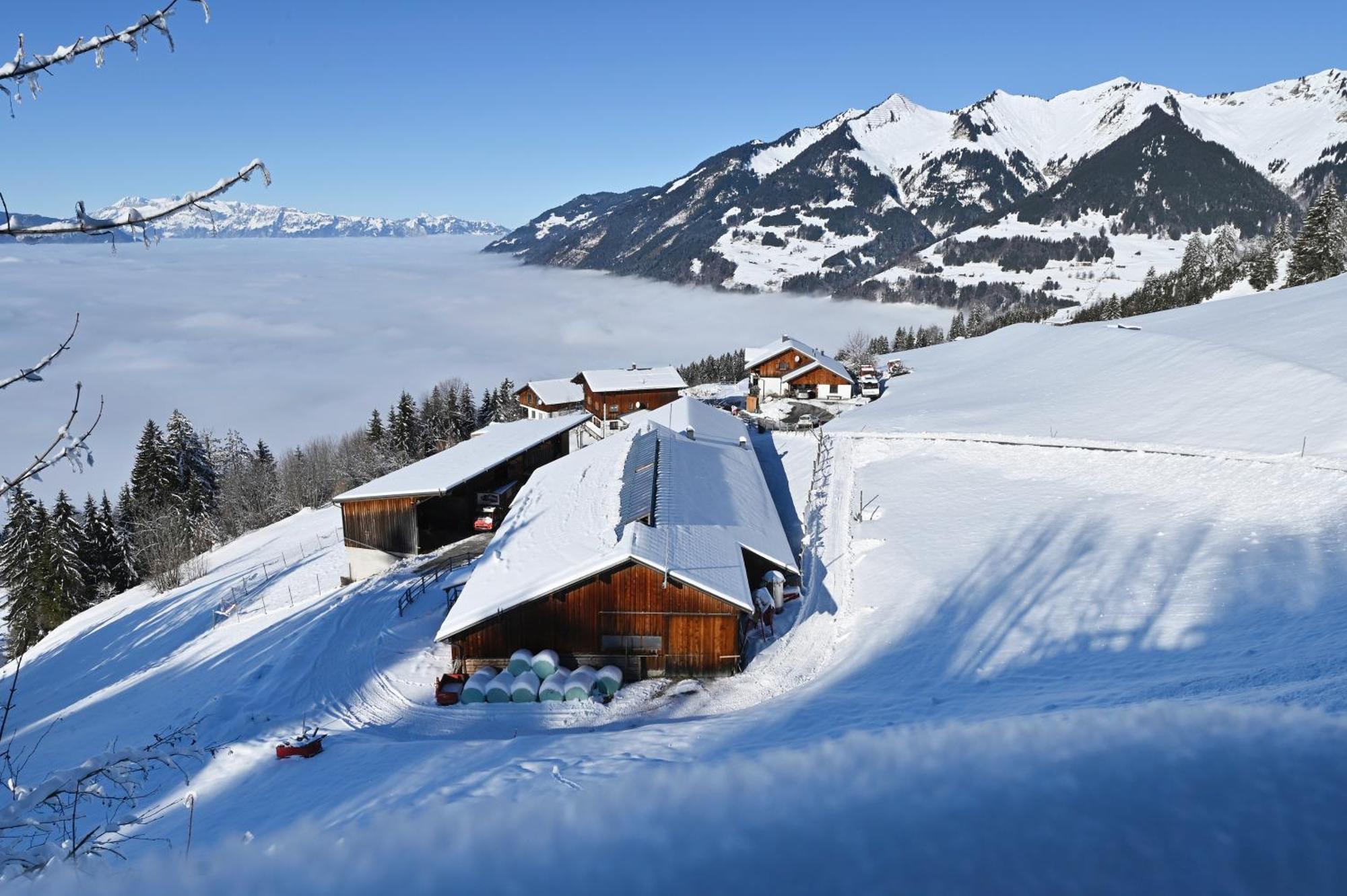 Berghof Burtscher Ludesch المظهر الخارجي الصورة
